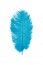 Chaks 0718-12, Sachet de 2 Plumes d'Autruche 30-35cm, Turquoise