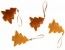 Sachet de 4 mini-décorations Velours ambre (assorties)