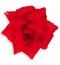 Pince cheveux Rose, rouge