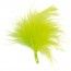 Sachet de 20 plumes vert anis