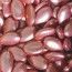 Sachet 500g de dragées CHOCOLAT 50%- OR ROSE brillant