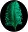 Lot de 5 Plumes d'Autruche Spadona 50cm, Vert