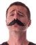 Moustache Aristo noire