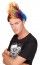 Perruque Punk Homme