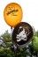 Sachet de 8 ballons Halloween imprimés, Orange et Noir