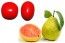 Sachet 500g de dragées Fruits EXOTIQUES (goyave)