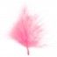 Sachet de 20 plumes roses
