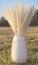 Party Pro 333FS4, Bouquet de 5 Pampas doudou blanc naturel 60 cm