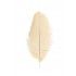 Chaks 0718-01, Sachet de 2 Plumes d'Autruche 30-35cm, ivoire