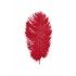 Chaks 0718-02, Sachet de 2 Plumes d'Autruche 30-35cm, Rouge