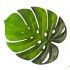 Chaks 10367, Feuille Philodendron artificielle géante verte 45,5cm