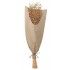 Chaks 11578, Bouquet de Lin 60cm, Naturel