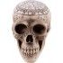 P'TIT Clown re22218, Crâne de squelette décoré pentagramme 20 cm