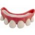 P'TIT Clown re28601 - Dentier rigide avec pâte, dents écartées