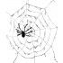 P'TIT Clown re40013 - Toile d'araignée géante avec araignée noir de diamètre 2.90 m