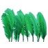 Chaks 50 772233 5, Sachet de 10 Plumes de dinde 30-35cm, Vert