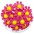 Chaks 80053-05, Boite de 18 Fleurs adhésives 3,5cm, Fuchsia