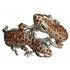 Chaks 83 251307, Bracelet lézard doré avec strass