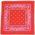 Party Pro 8653105, Bandana rouge et blanc