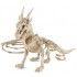 Party Pro 902404, Squelette de Dragon 35 cm