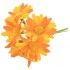 Chaks 13271-17, Mini-bouquet de 6 Marguerites 11cm sur tige, Orange