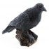 Chaks 13079, Statue Corbeau noir en polyrésine 17cm