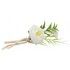 Chaks 12657, Mini-bouquet Pivoine 15cm Blanche